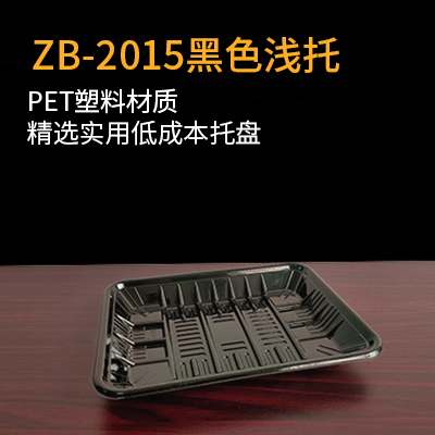 ZB-2015黑色淺托20mmx13mmx02mm